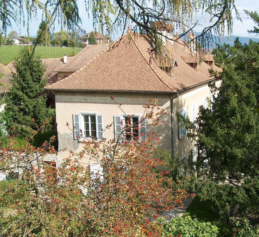 Corbelin Chateau-Gaillard المظهر الخارجي الصورة